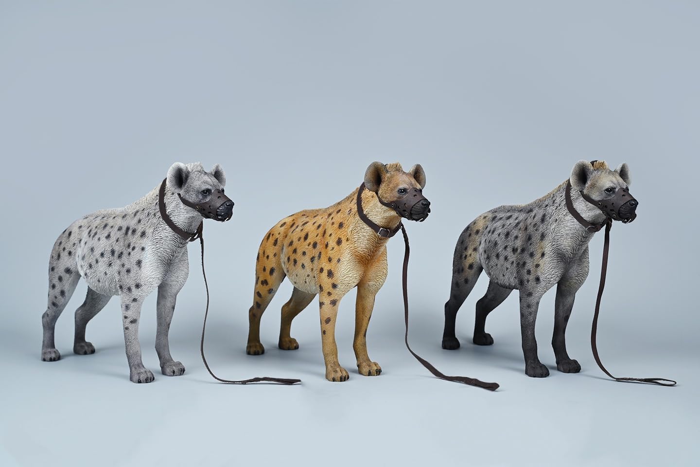 1:6 Scale African Hyena Model Hyaenidae Animal Figure Dog Collection Gift (JXK215A1)
