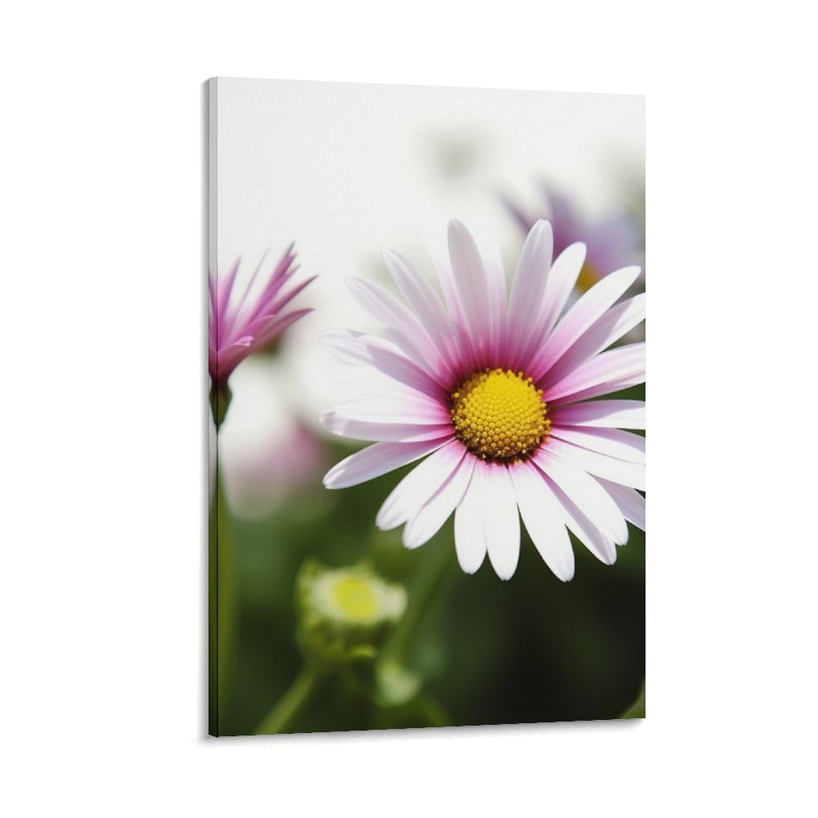 Canvas Wall Art for Living Room 16"x24" Modern Artwork Painting Pictures Hanging Canvas Prints Daisy Flower Aesthetic Wall Art for Bedroom Bathroom Office Wall Art Print Decor Daisy Flower Canvas Wal