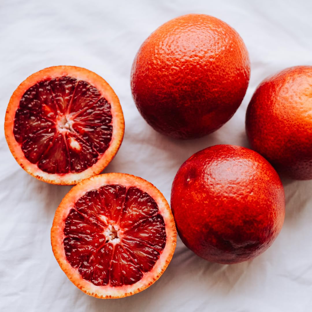 Agrumes Orange Sanguinello fruit à pulpe rouge Plante Fruitière pot 35 cm