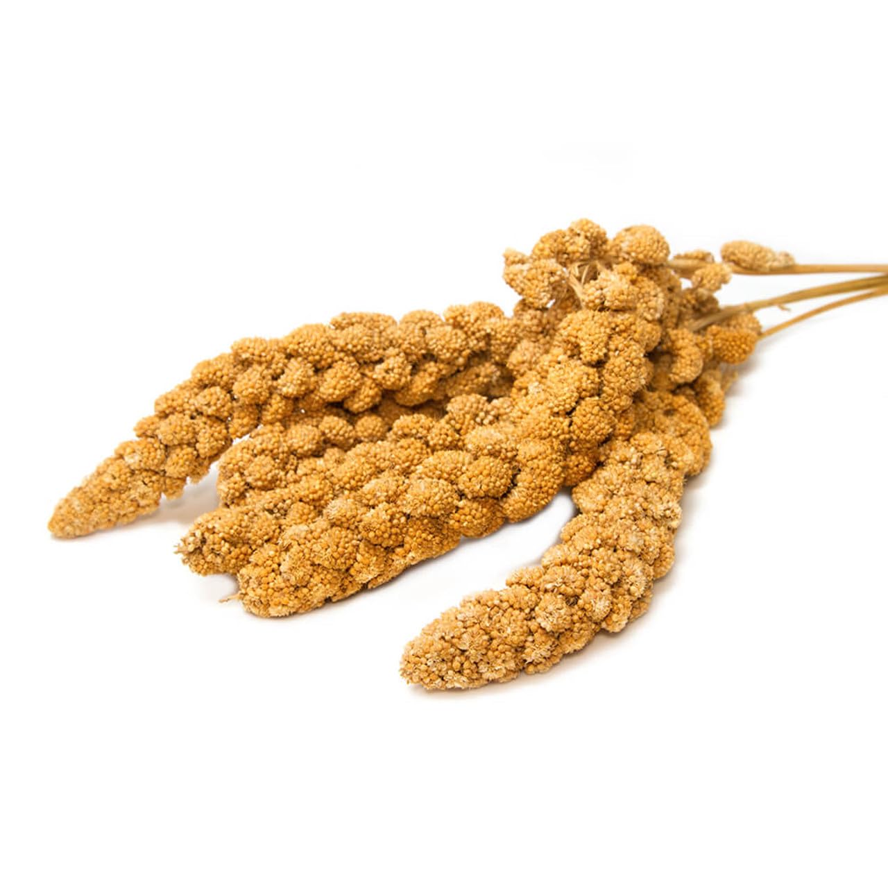 Happy Birds Spray Millet - 5 lb. and 25 lb. Healthy Treat for All Birds (5 lb.)