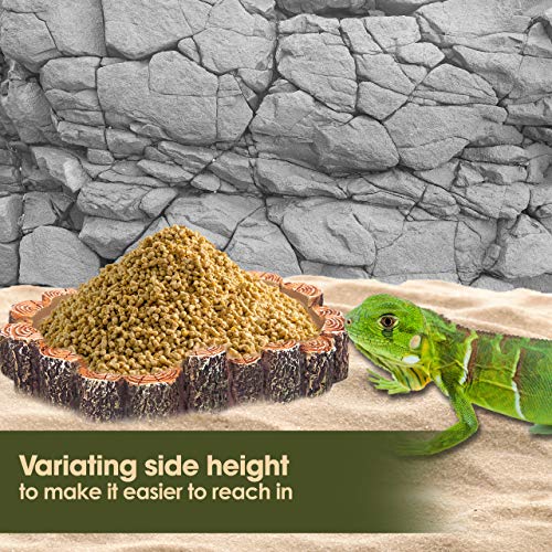 Orchid Valley Reptile Water Bowl or Food Dish. Hamster Sand Bath Container. Suit Gecko, Snake, Turtle, Bearded Dragon… - Image 4