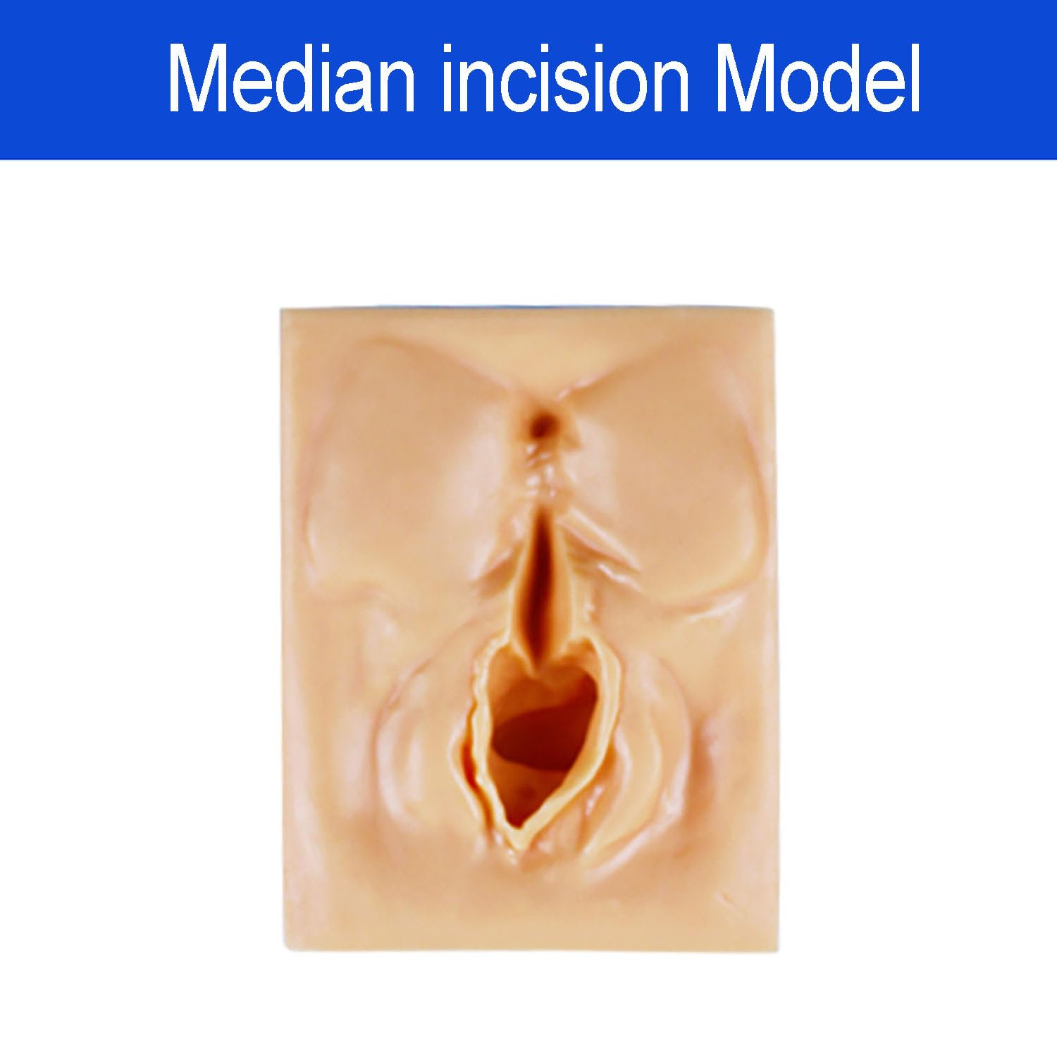 Simulatore di sutura della vulva, lacerazione del modello di pratica di sutura perineale con incisione della vulva, kit di pratica di sutura per l'insegnamento della ginecologia a studenti di medicina