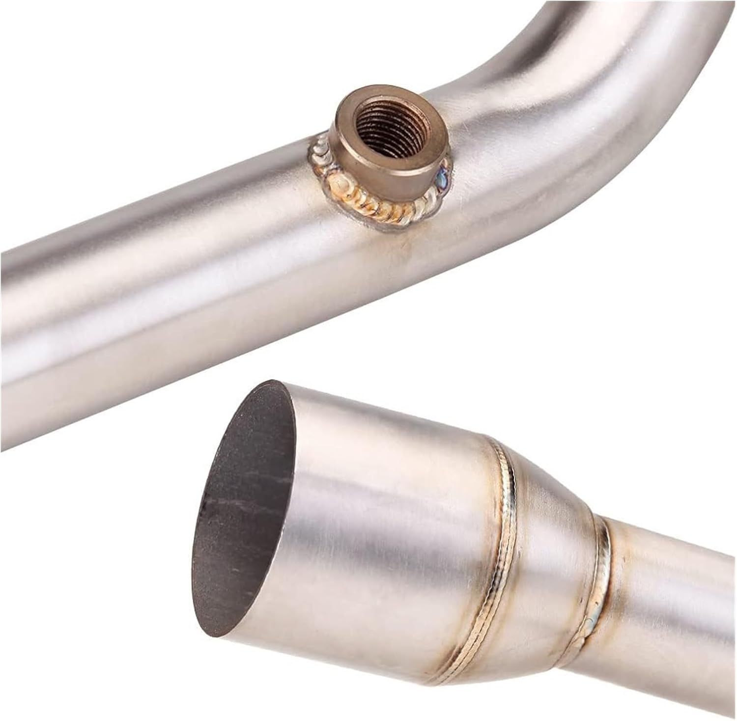 牧野博身様確認用＊センテッドジュエル バラ苗 紫と白の絞り とても