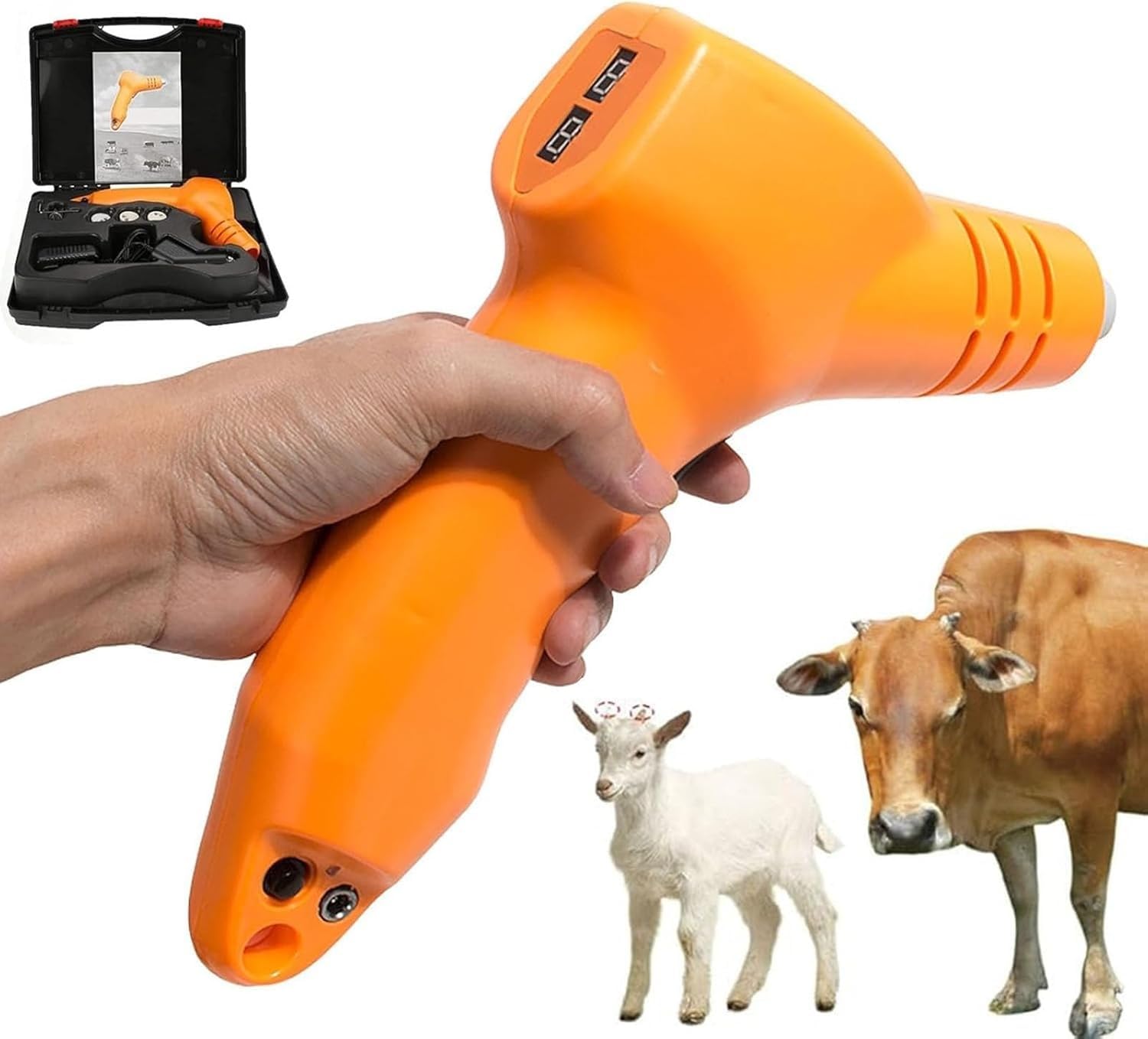 Écorneur électrique pour veau permettant un retrait de la corne sûr et sans douleur
