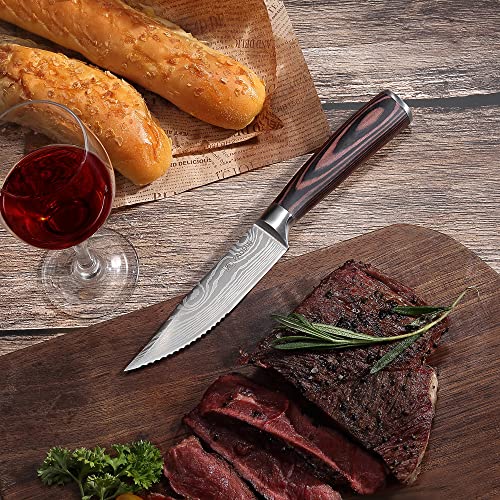 Foto von PAUDIN Steakmesser Set 4-teilig 13 cm, Großes Steakbesteck Scharfes Messer Set mit 5Cr15Mov Carbon Edelstahl, Hochwertiges Steakmesser mit Ergonomischem Holzgriff und Geschenkbox
