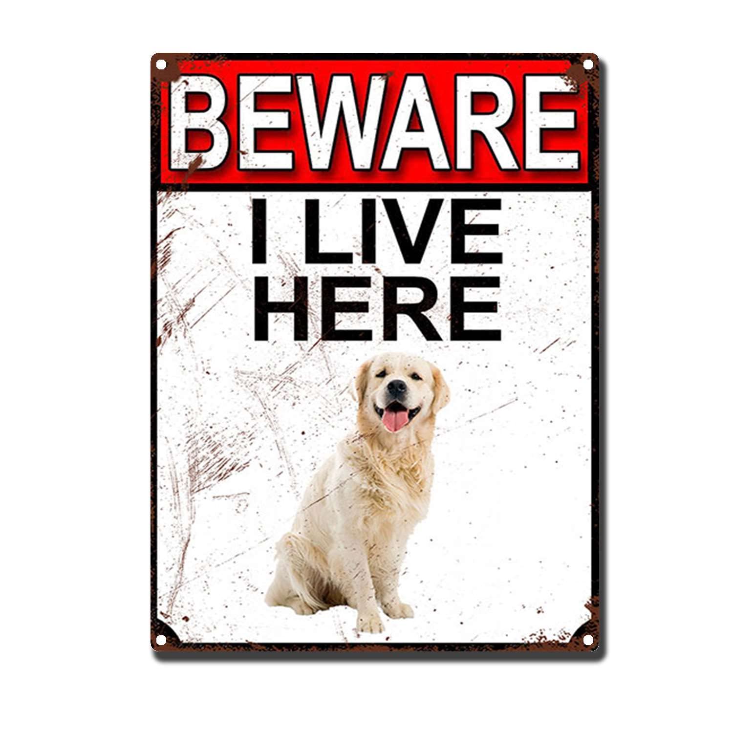 HYCLAM Metal SignBeware I Live Here The Kitchen Sign Retro Funny Art Decorative Iron Picture 12x16inch-Tin Sign