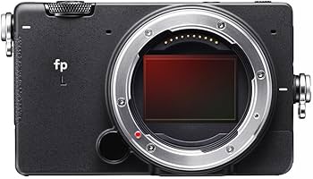 デジタルカメラ SIGMA ELECTRONIC VIEWFINDER EVF-11 Amazon.com : Sigma EVF-11 Electronic Viewfinder : Electronics