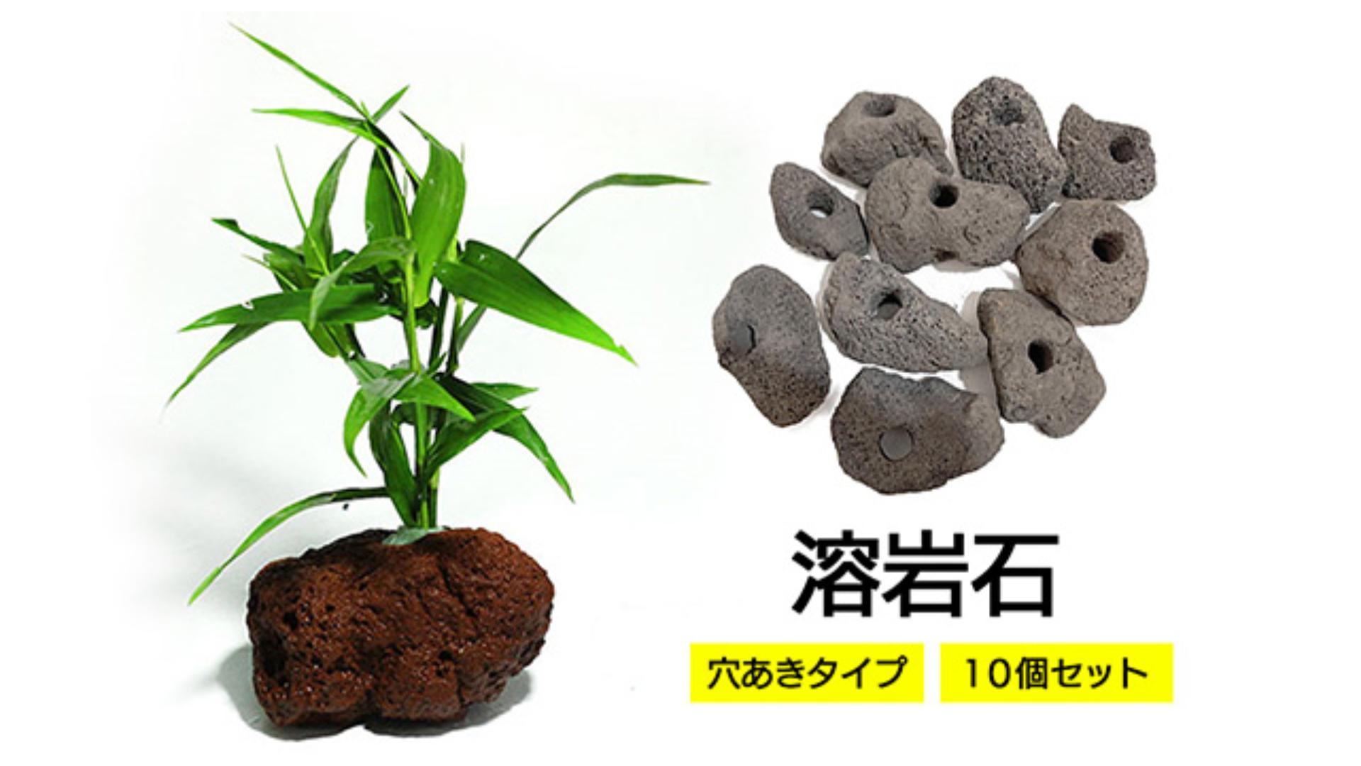 黒溶岩石　盆栽　ミニチュア庭園　アクアリウム Amazon | モデルノ ラ テール 溶岩石 穴あき アクアリウム オブジェ