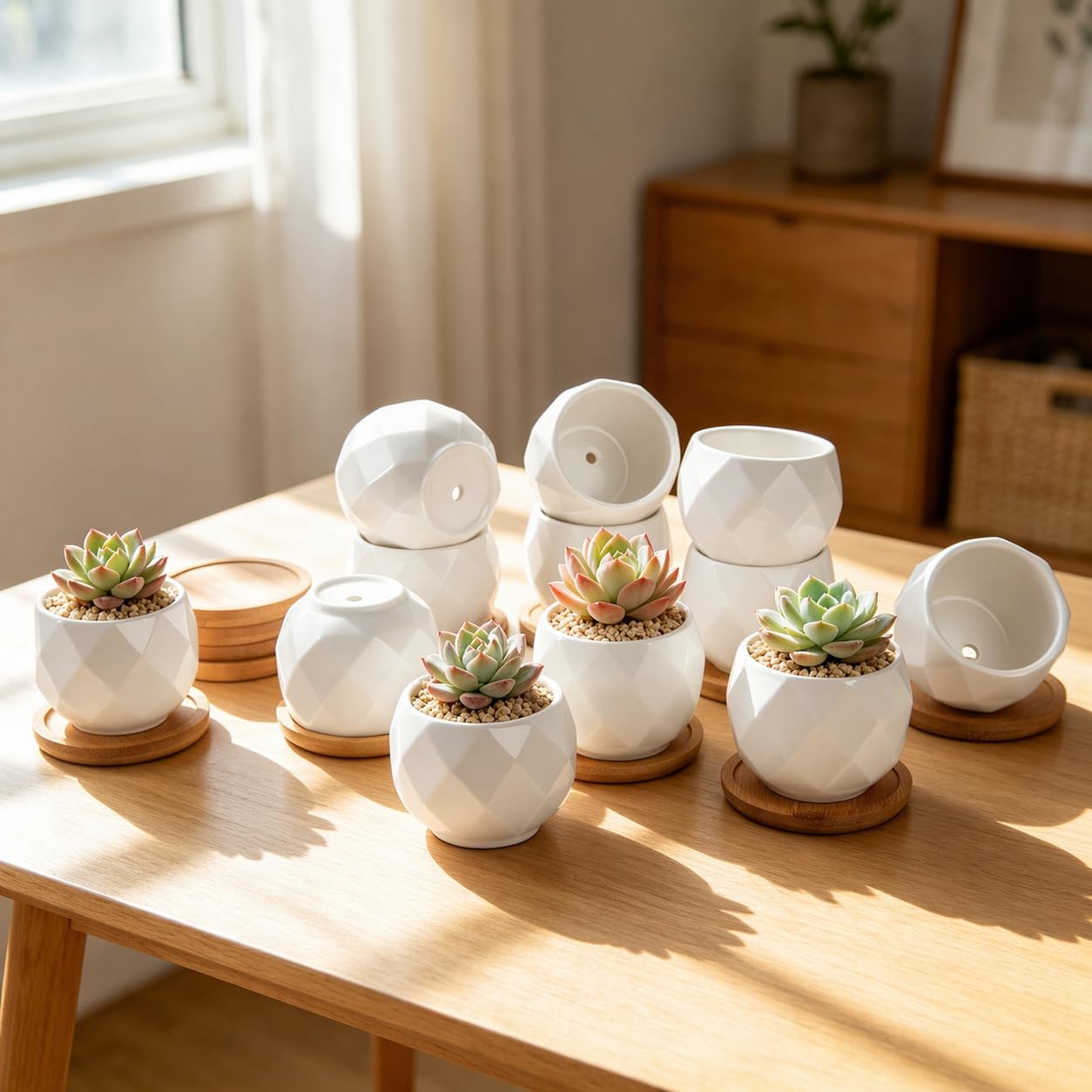 ZOUTOG Square Pattern Ceramic Planters 12-Pack