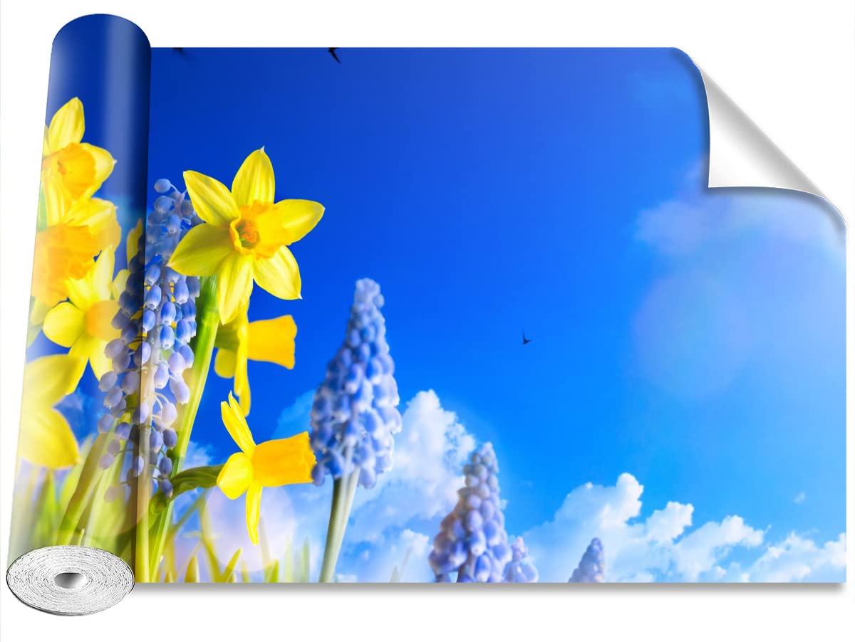 Papier peint jonquille bleue 312x219cm Tulup pour salon moderne et grand mur de chambre
