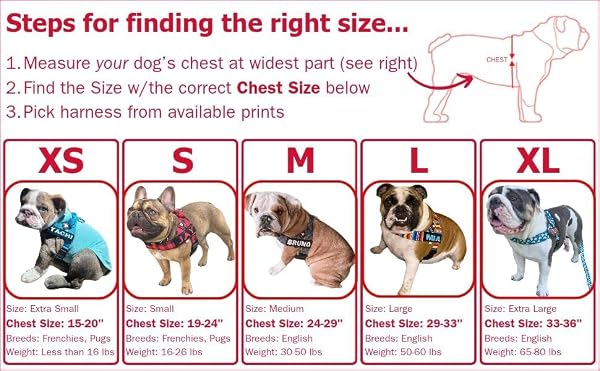 BULLHUG Adjustable Dog Harness– No Pull, No Choke – for English Bulldogs, French Bulldogs, Pugs & Broad-Chested Breeds – Easy, Safe Walks (Leopard Pink, XL) by BullHug - Image 2