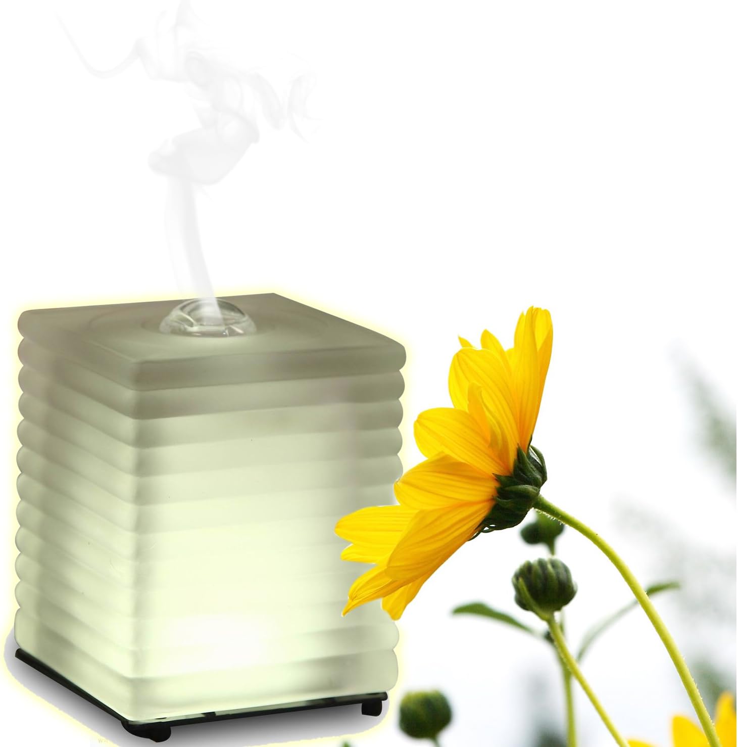 KOKO AROMA Aromatherapy Essential Oil Diffuser (ON Sale Limited Time) - Venus Glass - Innovative Ultrasonic Oil Burner - Soothing Warm LED Light - Elegant and Stylish Spa Vapor Purifier