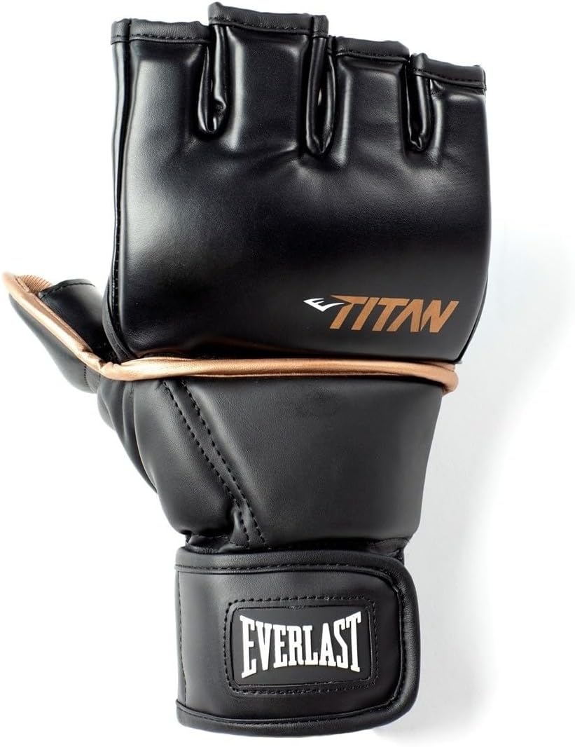 EverlastBoxing Gloves