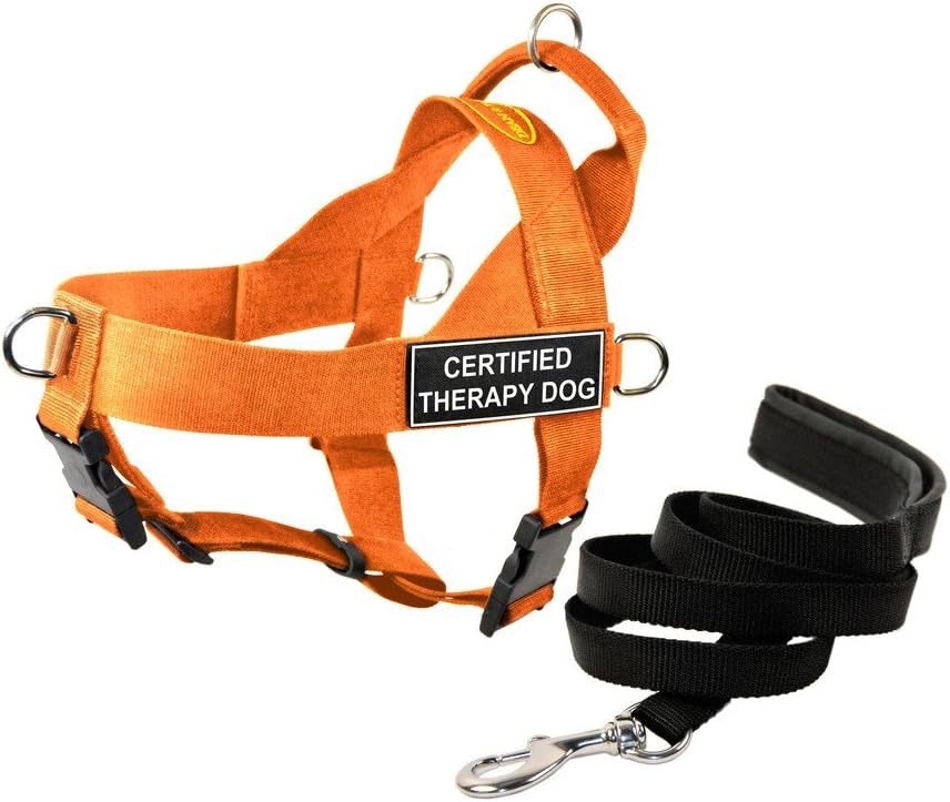 Dean & Tyler DT Universal No Pull Dog Harness with Certified Therapy Dog Patches and Leash, Orange, Large