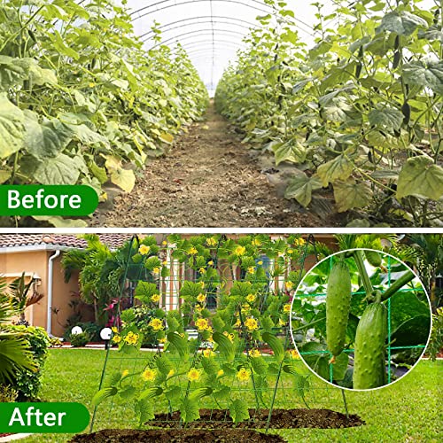Faltbares Gurken Rankgitter, Gurken Rankhilfe, Gitternetz Kletterpflanzen Rankgitter, Rankhilfe Tomaten, Premium Ranknetz, für Kletterpflanzen im Freien, Gurken