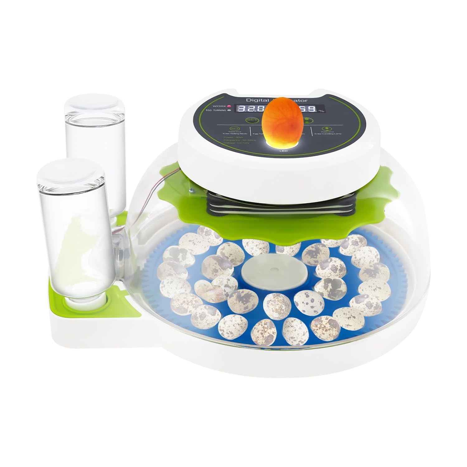Quail Egg Incubator Small Egg Hatcher Machine Small Quail Brooder Incubator with LED Screen and Transparent Lid, Automatic Rotation Functions (33 Holes)