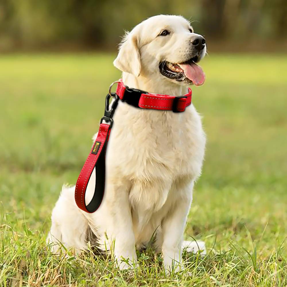 PLUTUS PET Kurze Hundeleine, 25,4 cm, mit gepolstertem Nylongriff, starke Haustier-Leine mit Karabinerhaken, perfekt für große oder mittelgroße Hunde (25,4 cm, rot