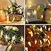 Dopheuor Photo Clip String Lights LED Fairy Clip String Lights Hanging Photo Pictures Battery Operated for Gifts Patio Christmas Bedroom Wedding Birthday Party Halloween Festival Decor (no Battery)