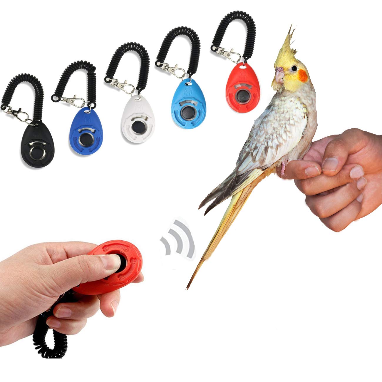 Sage Square Pet Training Clicker with Wrist Strap and Strap Hook for Bird/Parrots/Cockatiel/Budgies/African Grey/Cockatoo (Random)