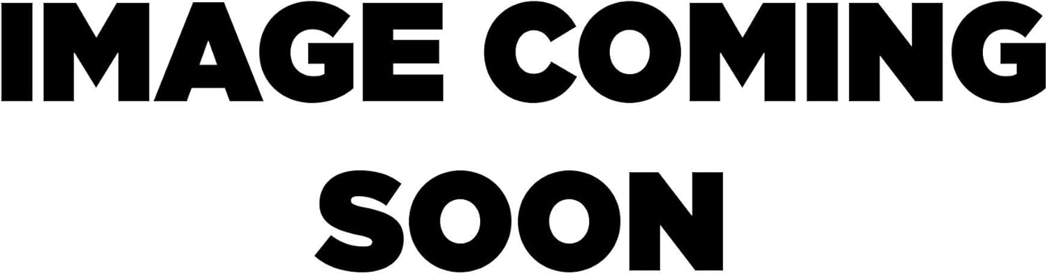 Riddell Ohio State Buckeyes College Football Playoff 2019 National Champions Logo Speed Authentic Helmet - College Authentic Helmets