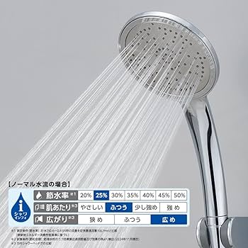 Amazon.co.jp: SANEI(サンエイ) ラージメタリックシャワー