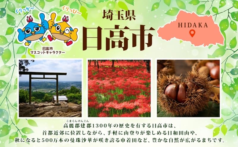 Amazon.co.jp: 青山工房 洋服ブラシ 大判 カシミア対応 1本 ウール