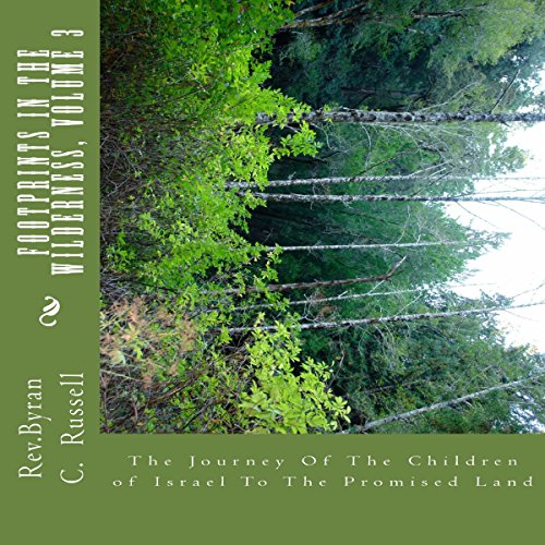 Footprints in the Wilderness The Journey of the Children