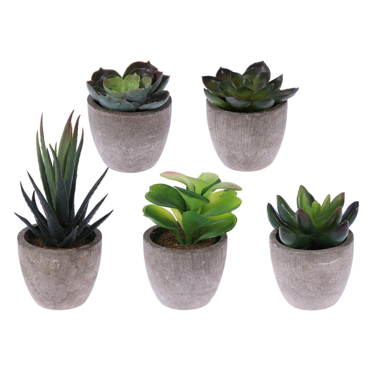 Künstliche Sukkulentenpflanze 5 Stück Packung Retro Bonsai Deko im Topf