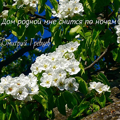 Ока дмитрий гревцев