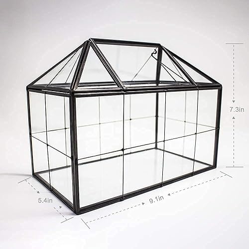 Miniatura 2 de Ferrisland Terrario de cristal para plantas de aire, terrario de cristal para suculentas, maceta geométrica grande con labio para suculenta helecho,