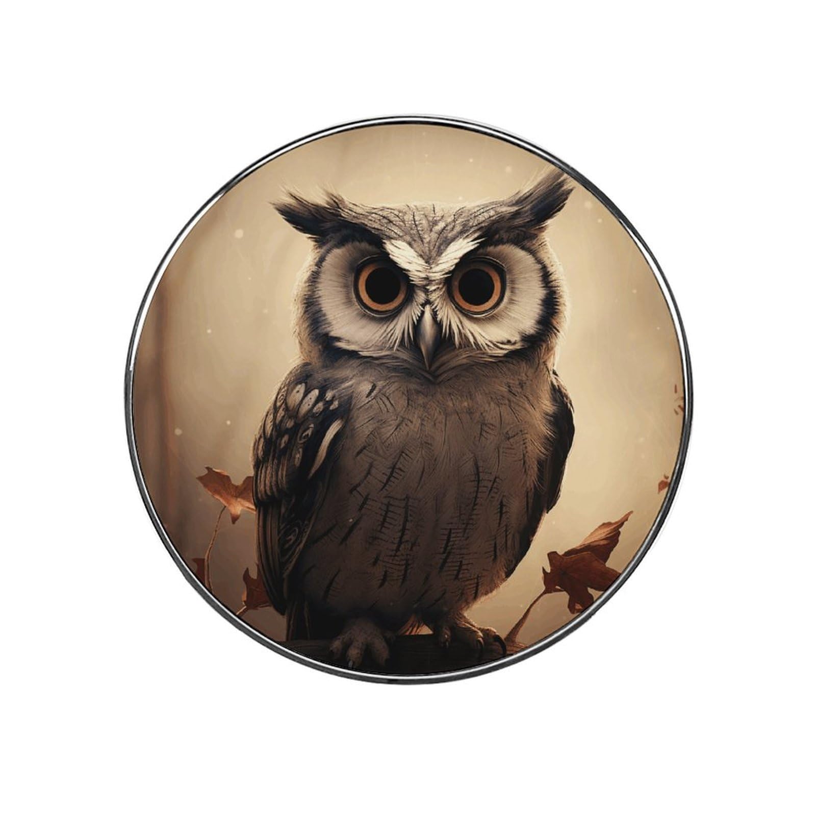 Refrigerator Magnet Cute Owl Printing Fridge Magnet Alloy Material,Fun Personalized Refrigerator Sticker Round Decorative Magnet for Whiteboard Kitchen Locker