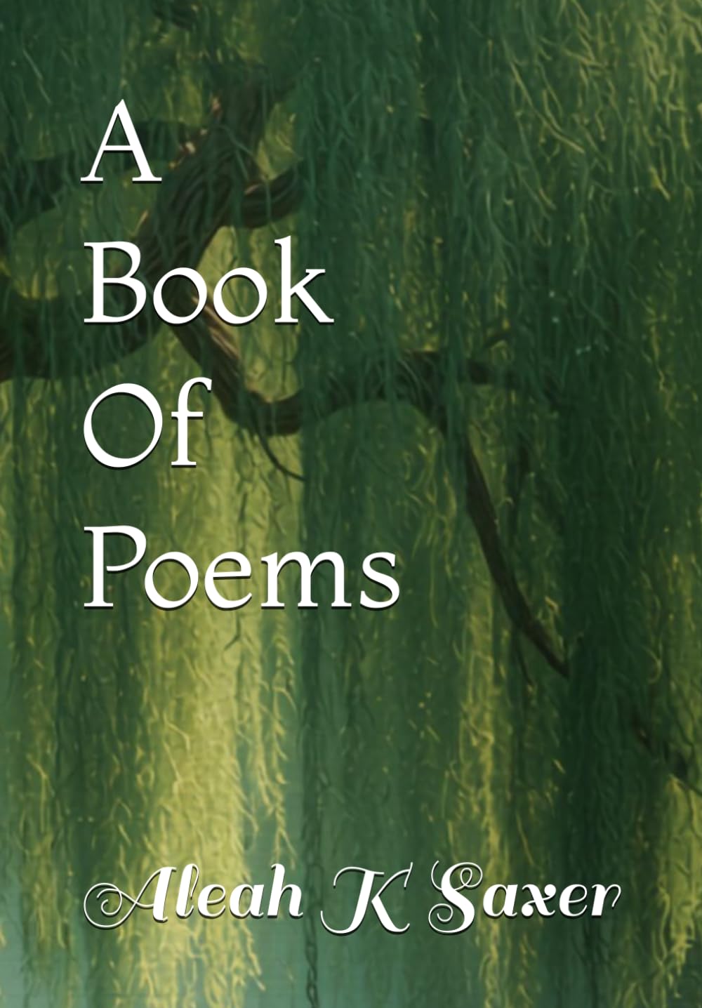 A Book Of Poems
