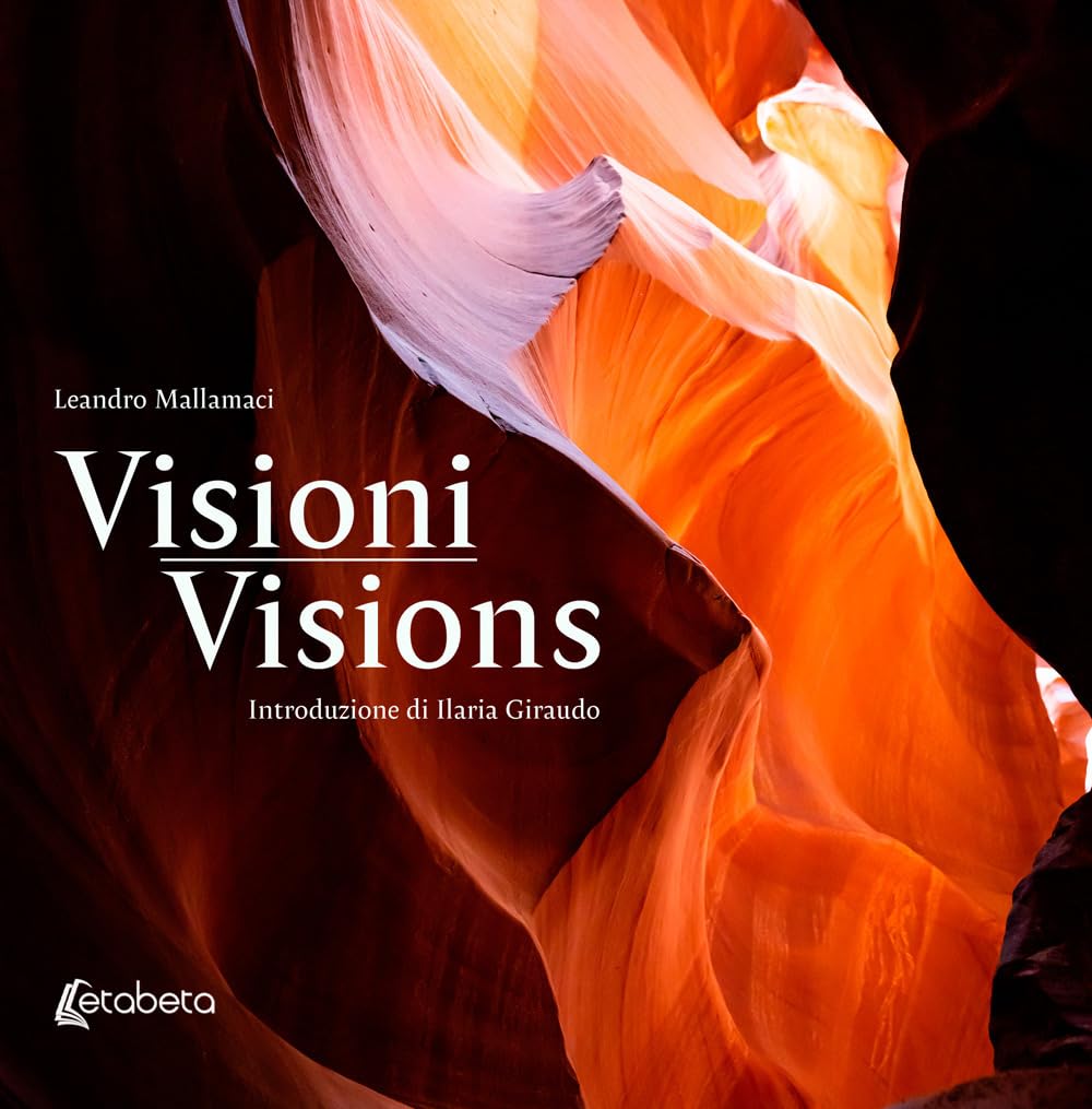Visioni-Visions ouvrage bilingue d'exception idée cadeau idéal pour passionné de culture