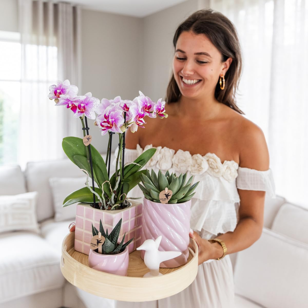 Orchidée rose Phalaenopsis - h35cm, Ø9cm - plante d'intérieur fleurie