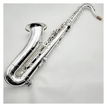 新古品【オーストリア】Schagerl Amadeusサテンテナーサックス 新古品【オーストリア】Schagerl Amadeusサテンテナーサックス