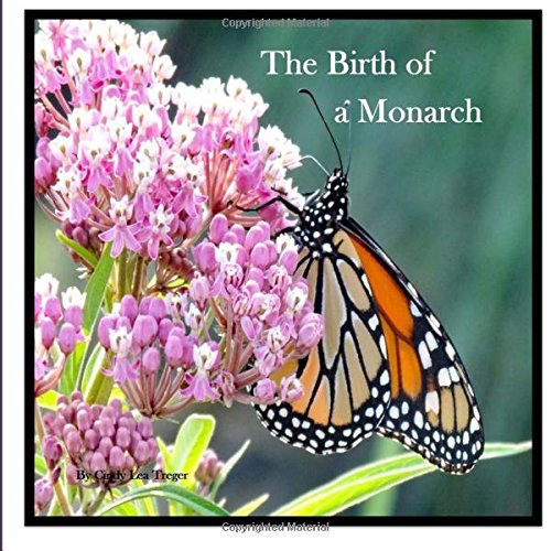 The Birth Of A Monarch: Metamorphosis of a Monarch Butterfly