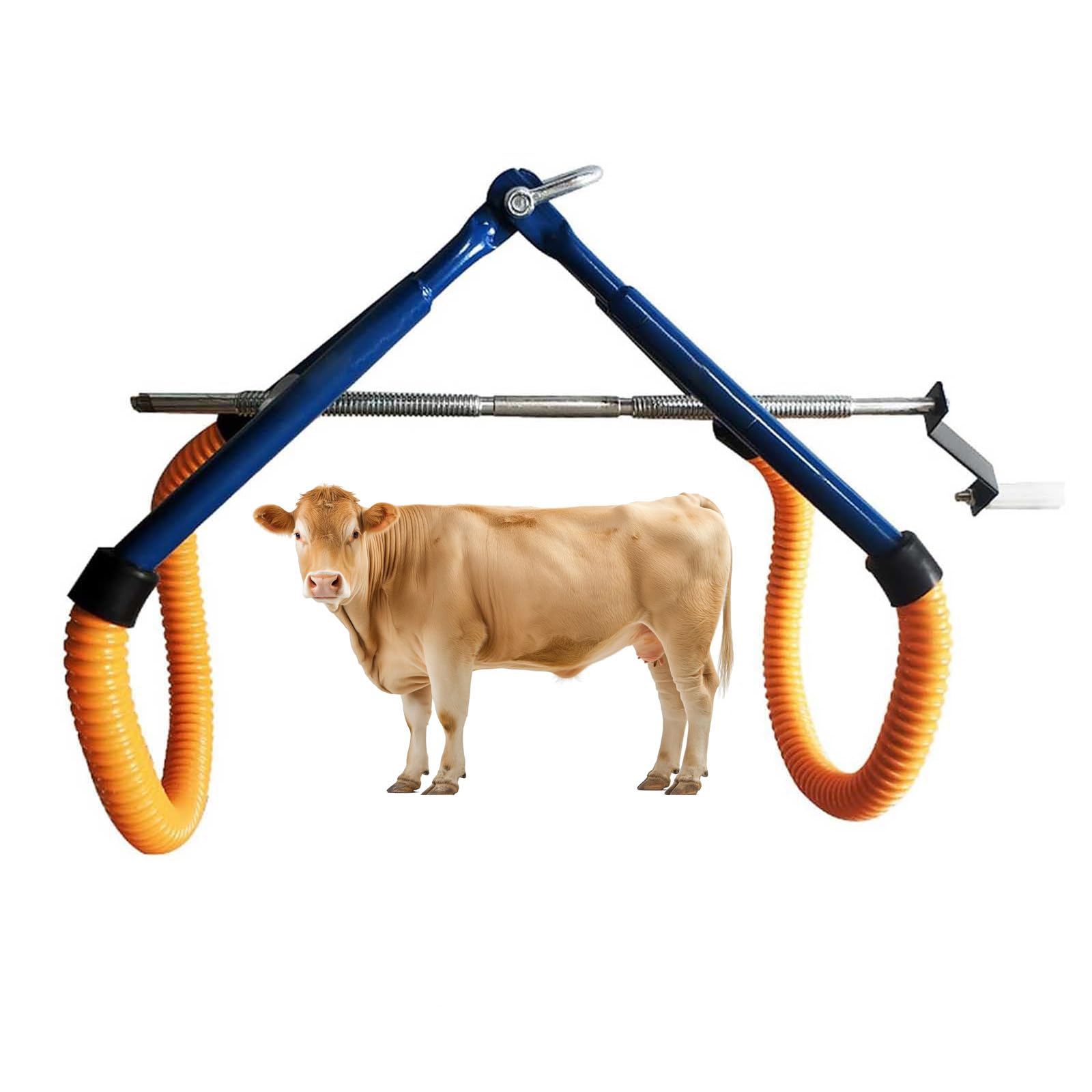 Outil de Levage des Hanches pour bovins, Dispositif d'aide à la verticalisation des bovins Pince de Hanche réglable pour bovins d'élevage pour bovins d'élevage laitier, dystocie