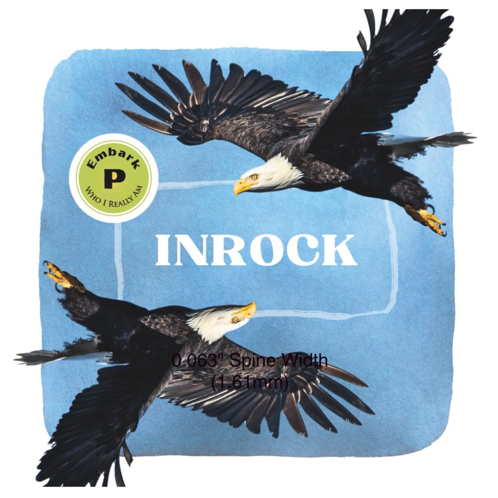 Inrock the Eagle: Beginnings (Beginning Series)