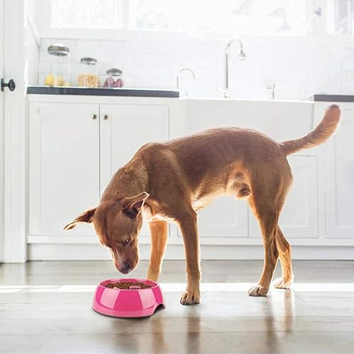 Vista 13 de Flexzion Cuenco para perros de alimentación lenta, base antideslizante resistente para mascotas, comedero para cachorros, contenedor de agua