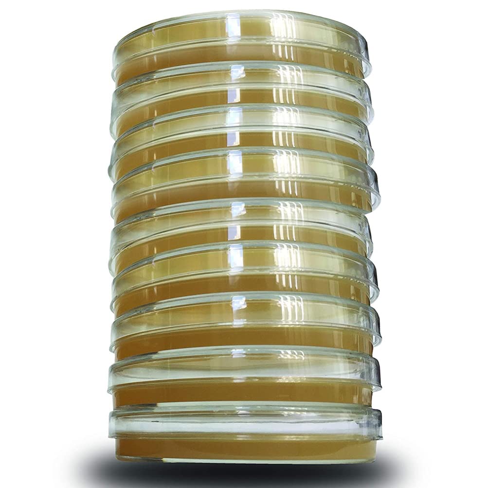 Buy ULTECHNOVO Agar Plates Prepoured Petri Dishes Culture Medium Agar