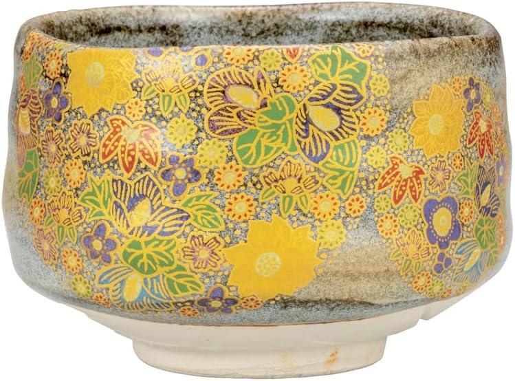 世界最古の石 46億年前の隕石コンドライト 太陽系最古の隕石 石質隕石