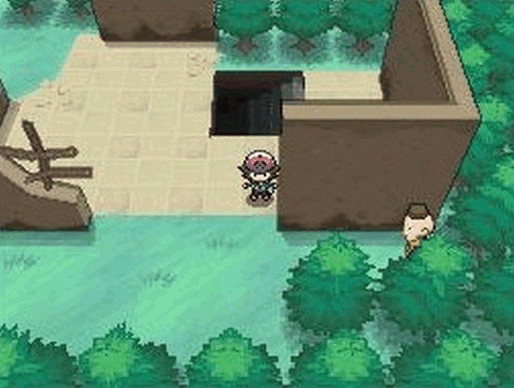 POKMON version noire [Edizione : Francia]