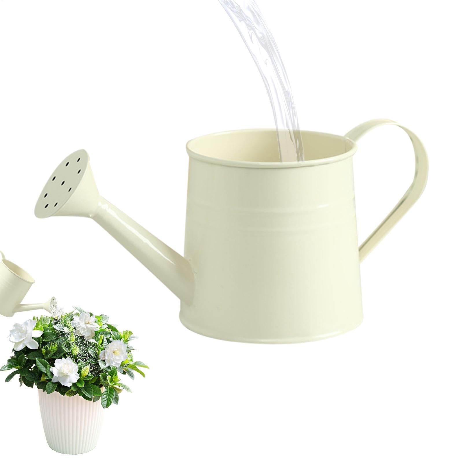 Metal Watering Can Mini, Mini Watering Can With Handle Indoor,for Indoor/Outdoor Garden Home Plants,Easy Grip Flower Kettles