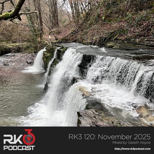 RK3 120: November 2025