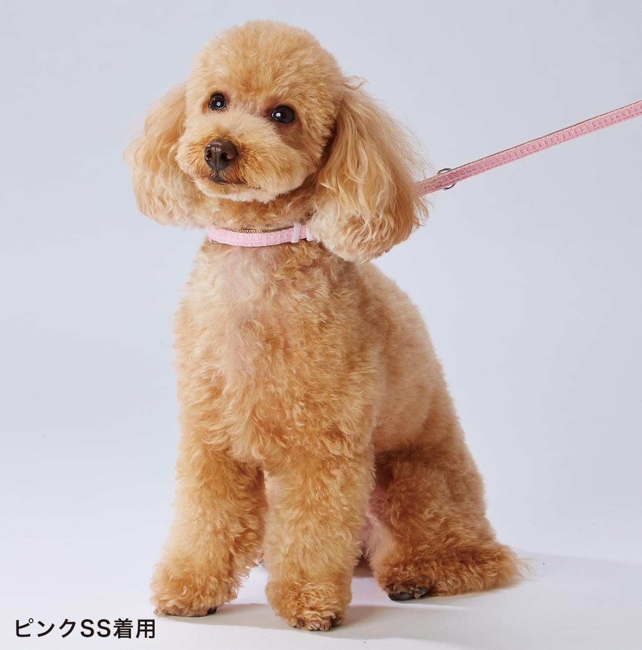 Admate (ADD. Mate) Hearty Walk Color XS Pink