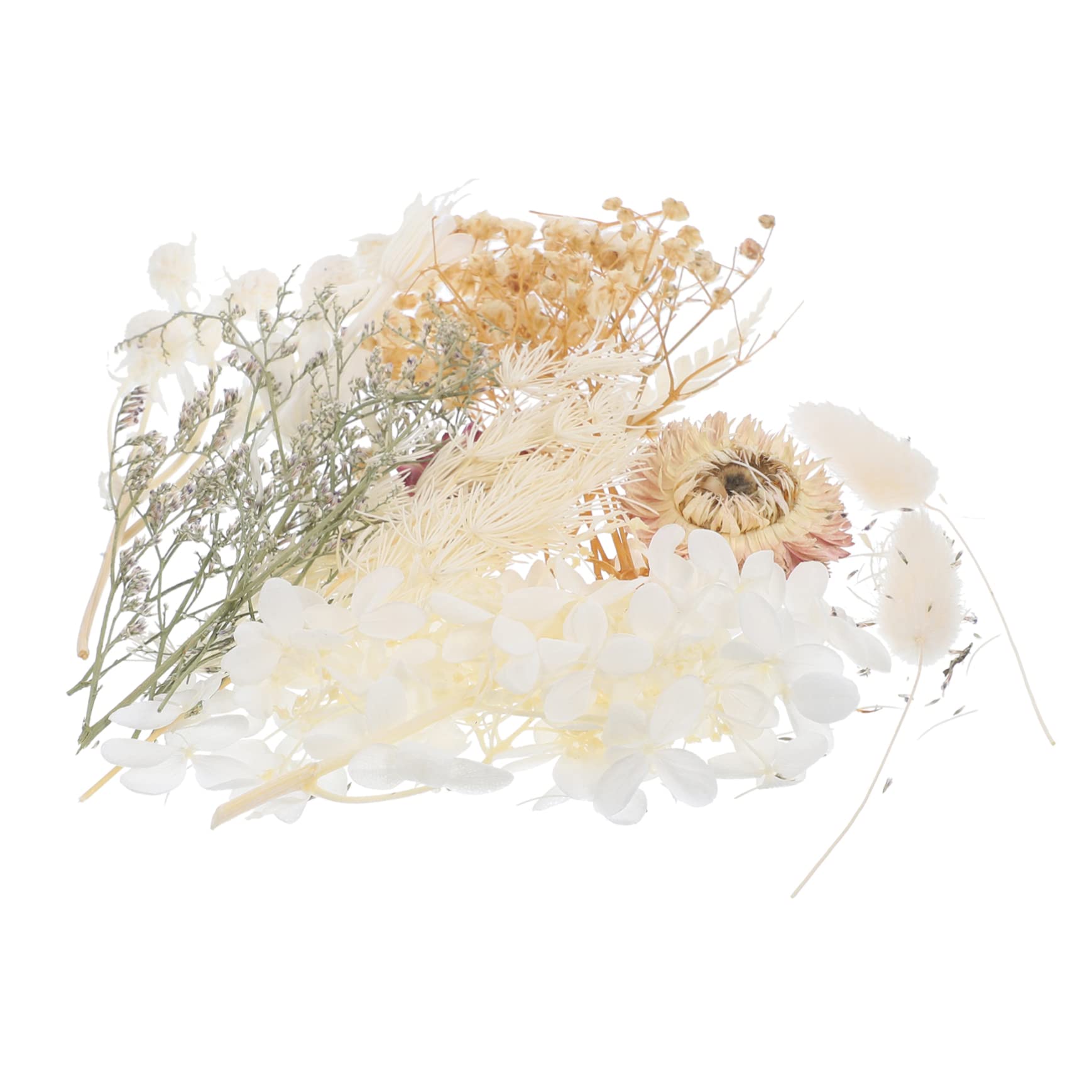 STOBAZA 4sätze Getrocknete Blumen Für -projekte Gepresste Blumen Für Resin Kerzen Und Kreative Bastelideen Für Kunsthandwerk Und Dekoration