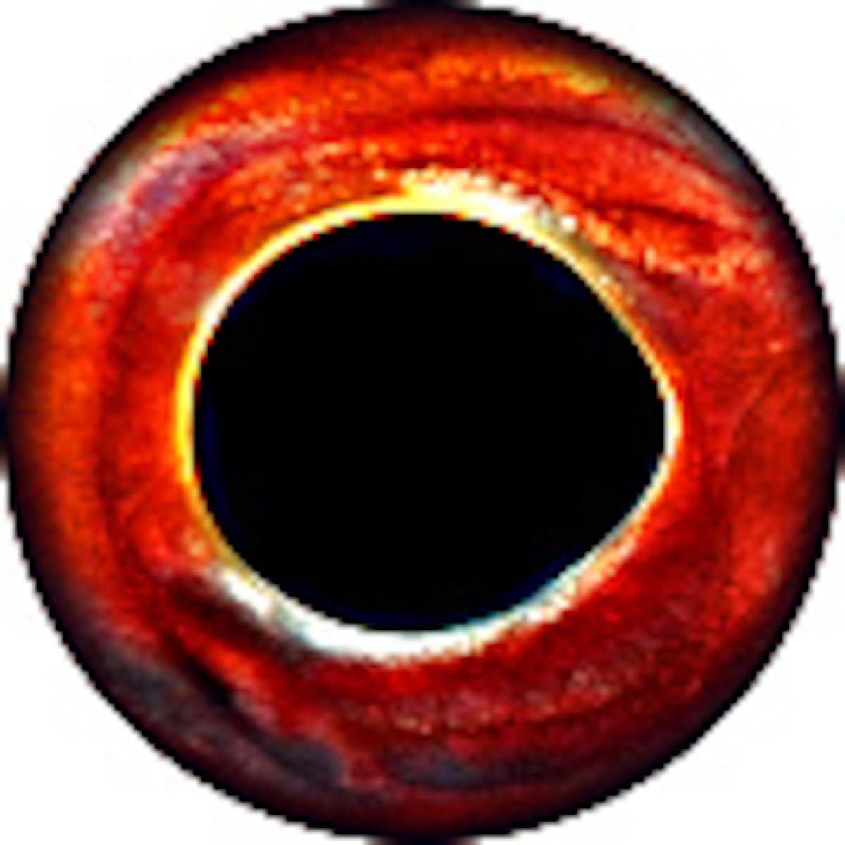 Brule 3-D Holographic Epoxy Fish Eyes (3mm-20mm) 60 Pack, Handpoured, Fishing Fly Tying Streamers Lures Crafts