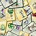 Steve Jackson Games Munchkin Oz Guest Artist Edition Board Game | Game for Adults, Kids, and Family | Fantasy Adventure Board Game | Fantasy RPG | Ages 10+ | 3-6 Players | Avg Play Time 120 Min