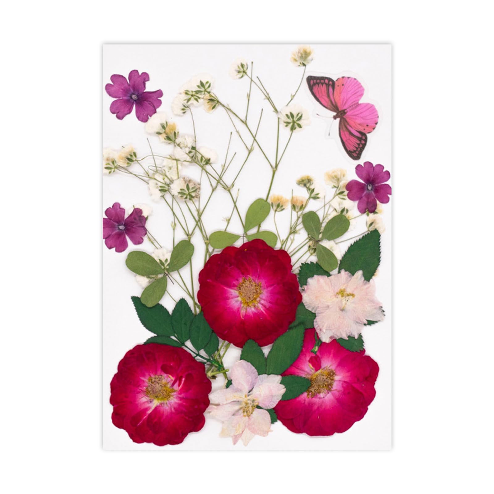 NEWFT Natural Dry Flower Leaves for Scrapbooking Bookmarks Candle Jewelry Making Pressed Natural Dried Flower For Epoxy Resin