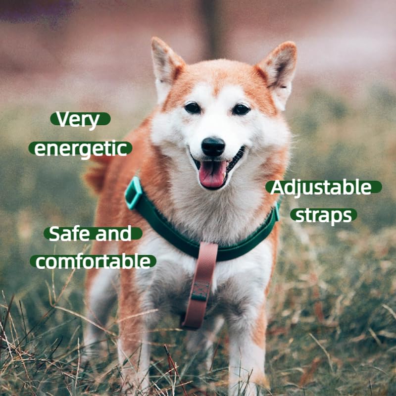 Adjustable Dog Universal Chest Harness+Traction Rope Set, Waterproof, Chew-Resistant - Image 4